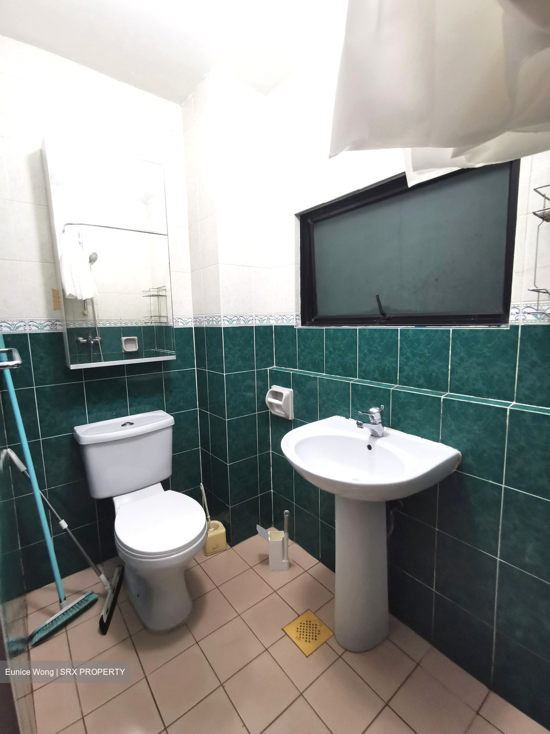 Pasir Panjang Road (D5), Condominium #575426091